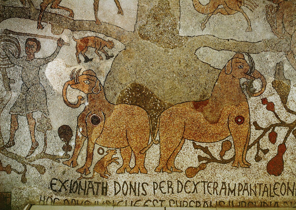  door Pantaleone Pantaleone