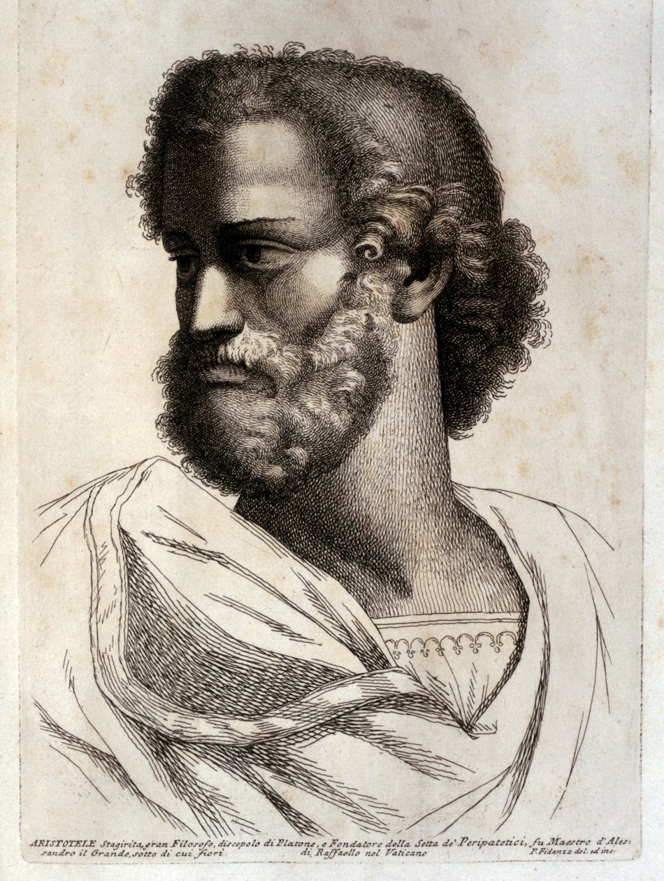 ARISTOTLE door Paolo Fidanza