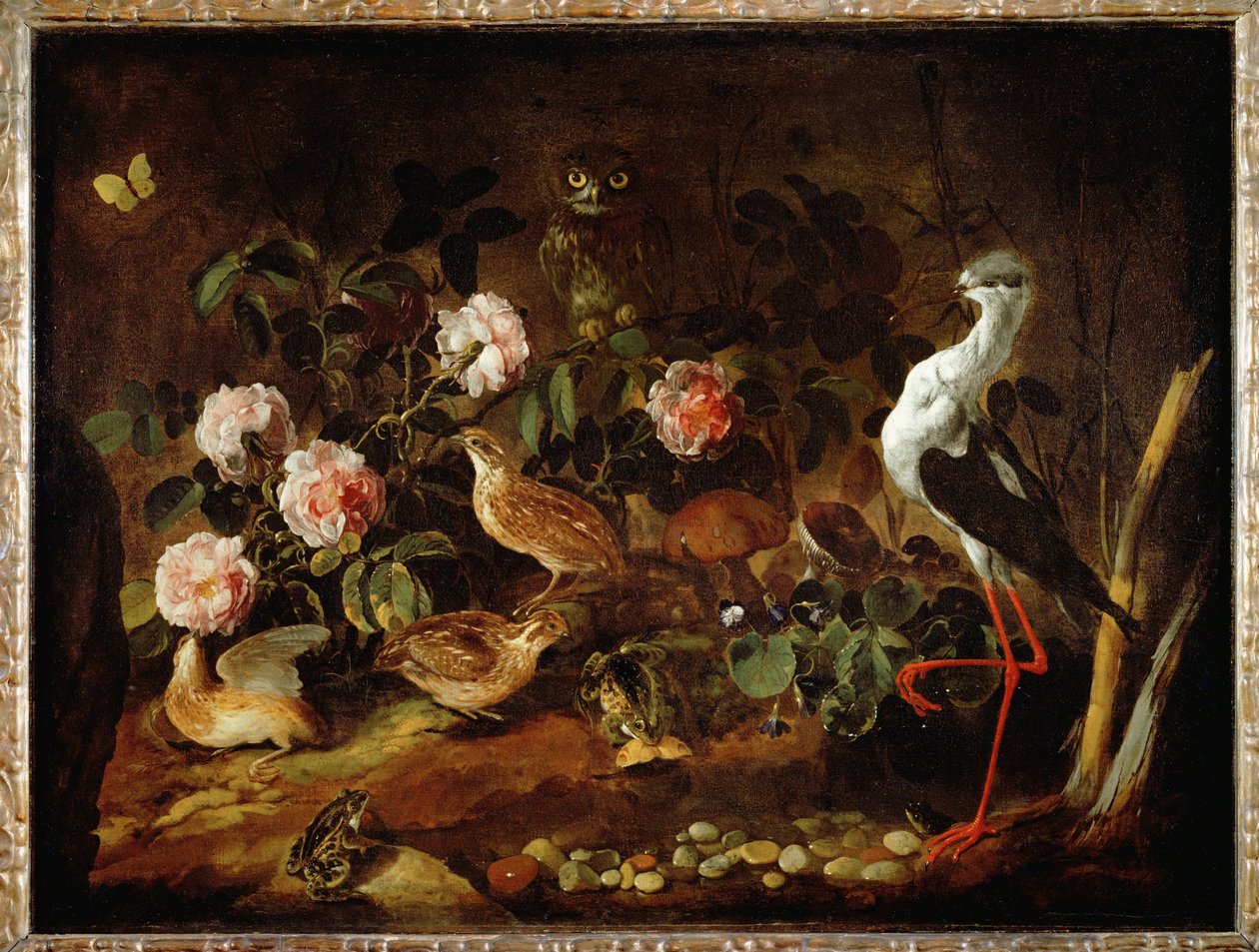 Stilleven met uil en ibis - Nature morte avec une chouette et un ibis ... door Paolo Porpora