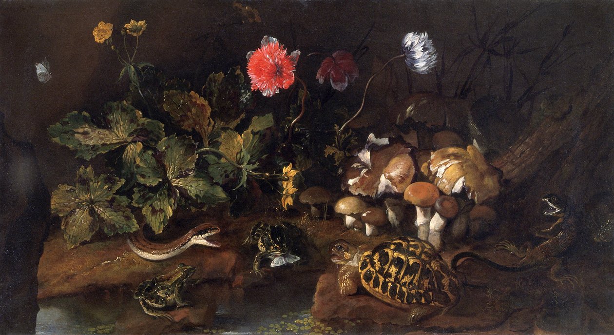 Stilleven met een slang, kikkers, schildpad en hagedis, 1656-1673 door Paolo Porpora
