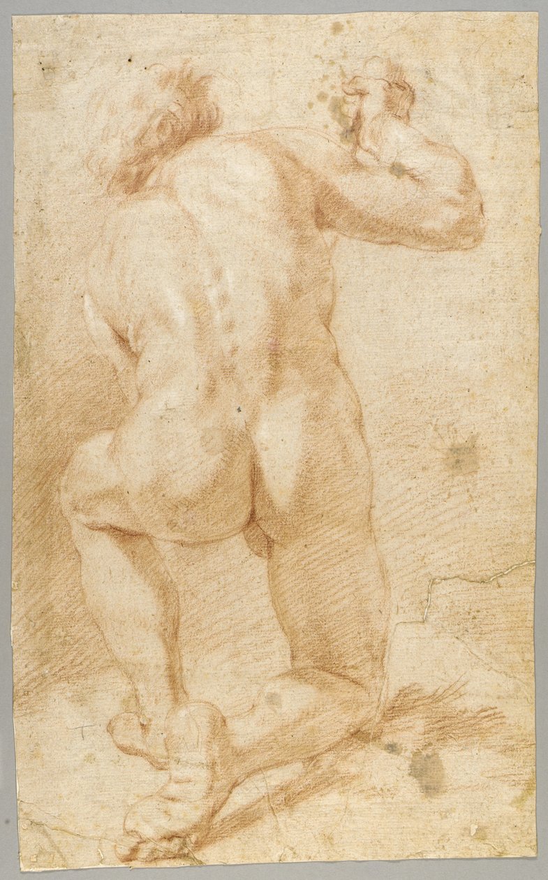 Tekening door Paolo de Matteis
