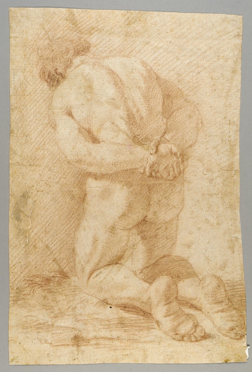 Tekening door Paolo de Matteis