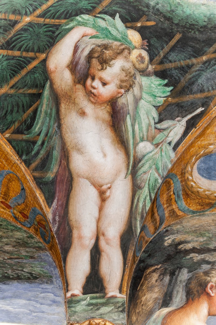 Putto, uit de Kamer van Diana en Actaeon (detail) door Parmigianino