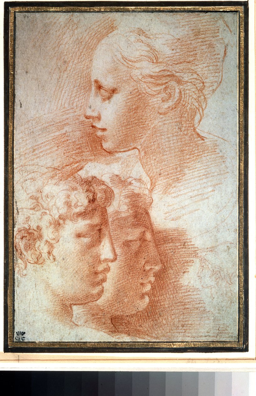 Studie van hoofden door Parmigianino