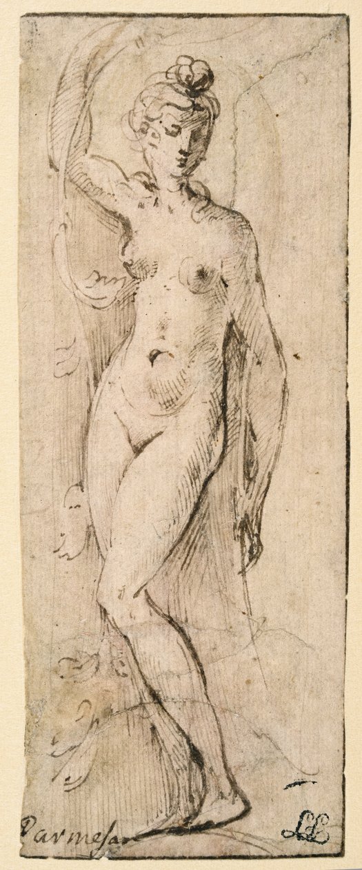 Vrouwelijke figuur - studie voor Santa Maria della Steccata, Parma (recto) door Parmigianino