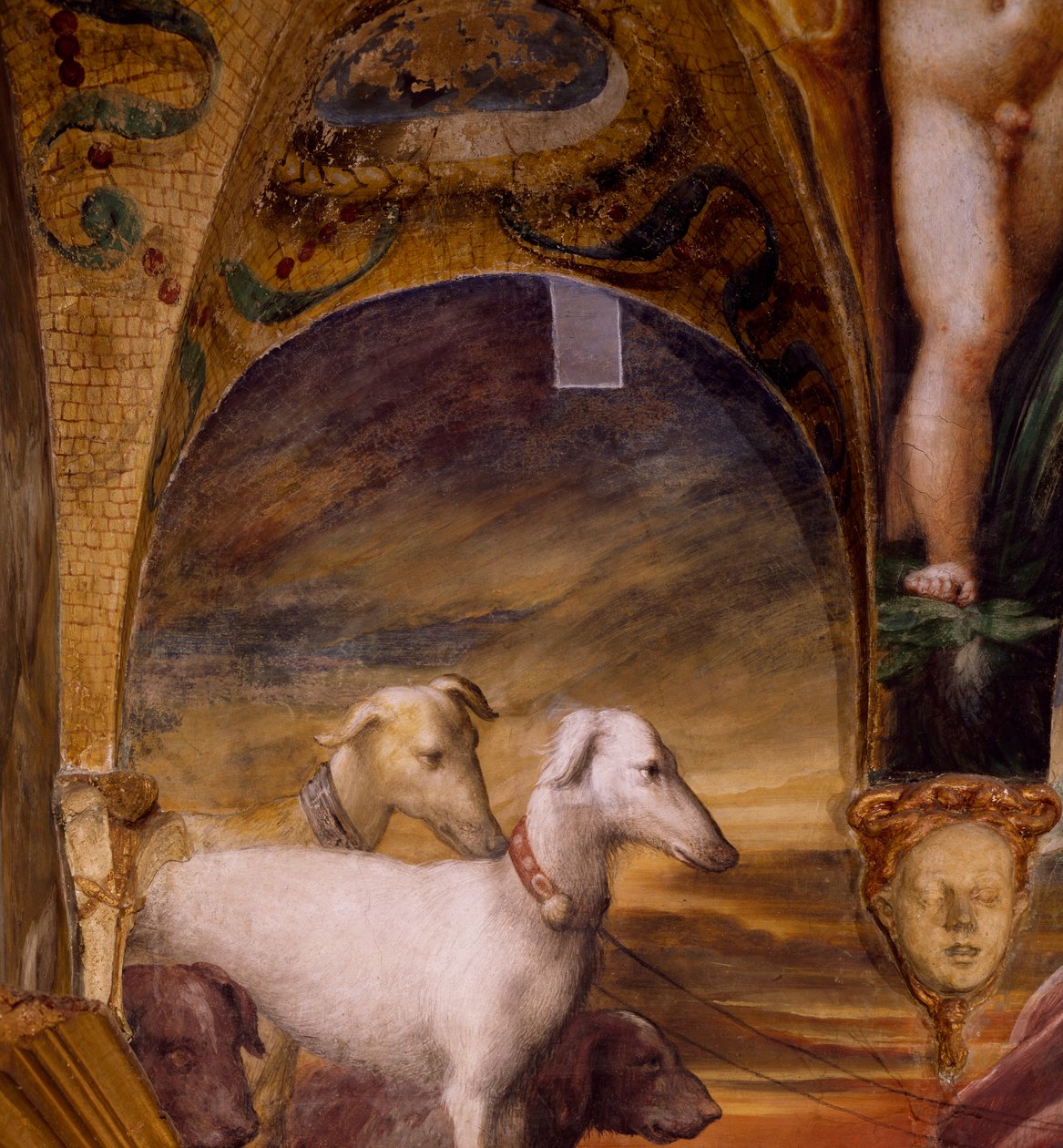Groep honden, uit Mythe van Diana en Actaeon door Parmigianino