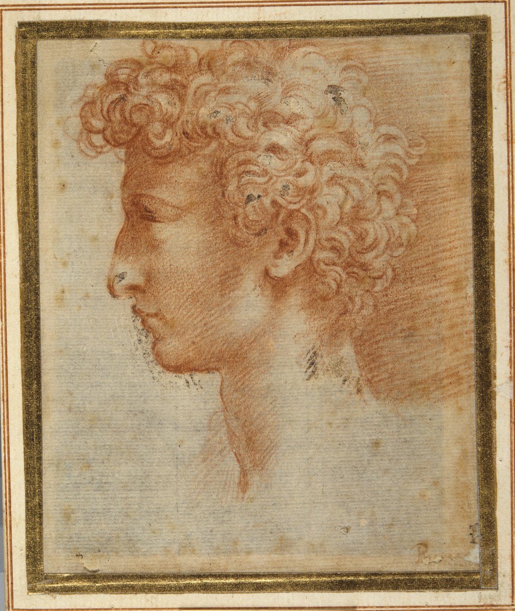 Profiel van een jonge man door Parmigianino