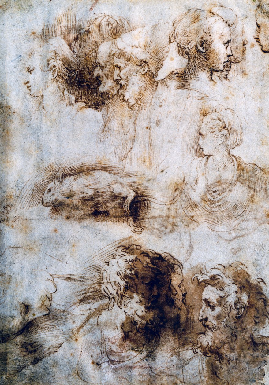 Studie voor een dode muis, mannelijke en vrouwelijke profielen door Parmigianino