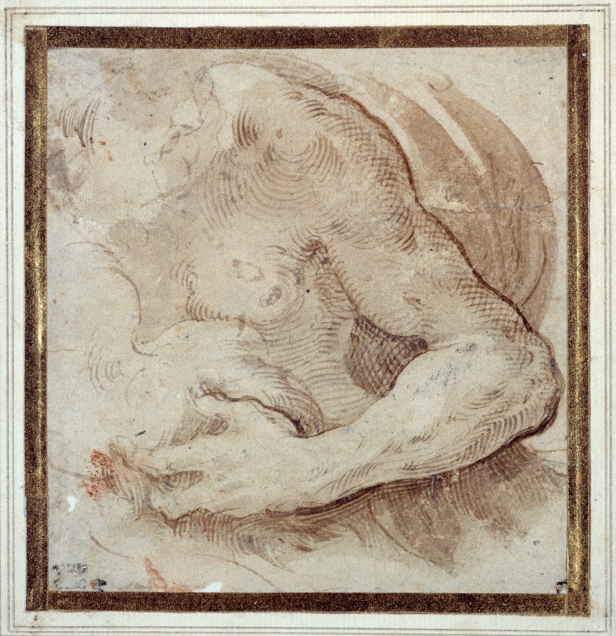 Studie van de linkerarm, borst en hoofd van een bebaarde man door Parmigianino