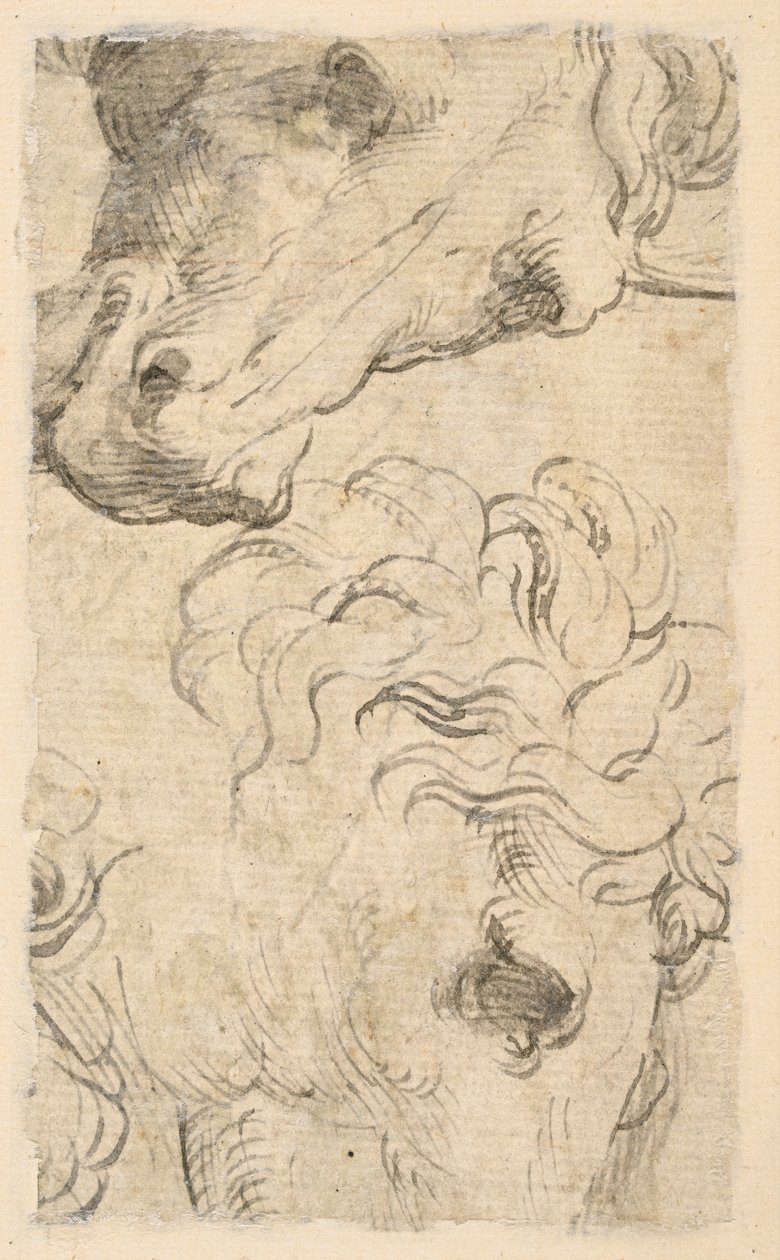 Twee studies van paardenhoofden (fragment) (verso) door Parmigianino