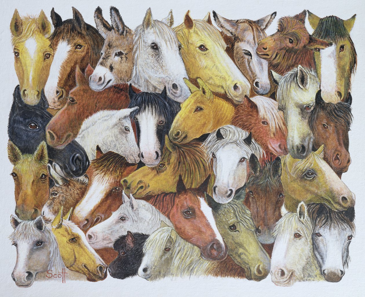 Paarden Paarden (olieverf op doek) door Pat Scott