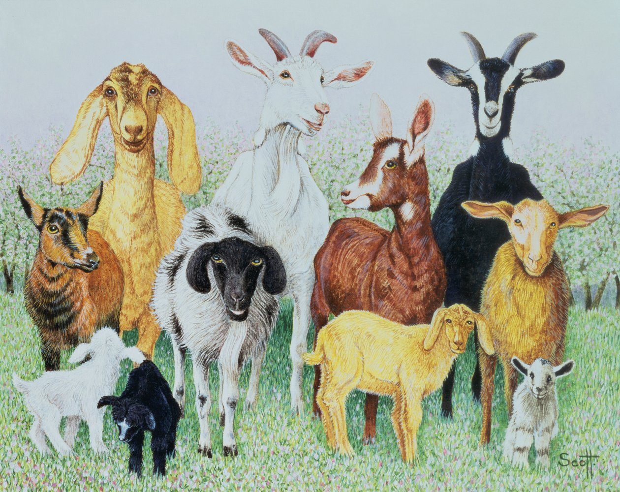 In klaver (acryl op calico) door Pat Scott