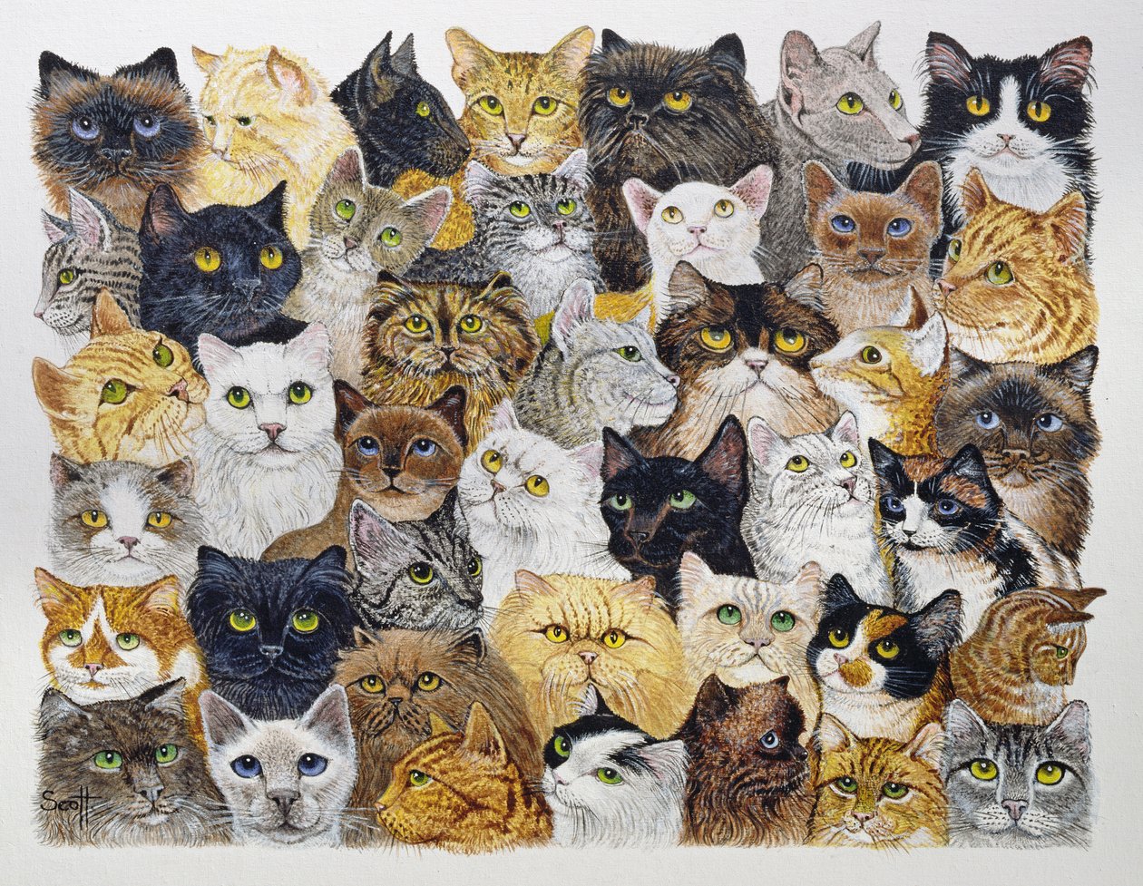 De snor van de kat (acryl op calico) door Pat Scott