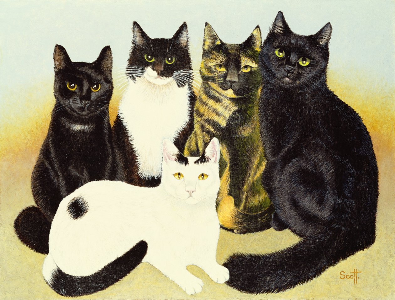 De katten van Miss Cox door Pat Scott