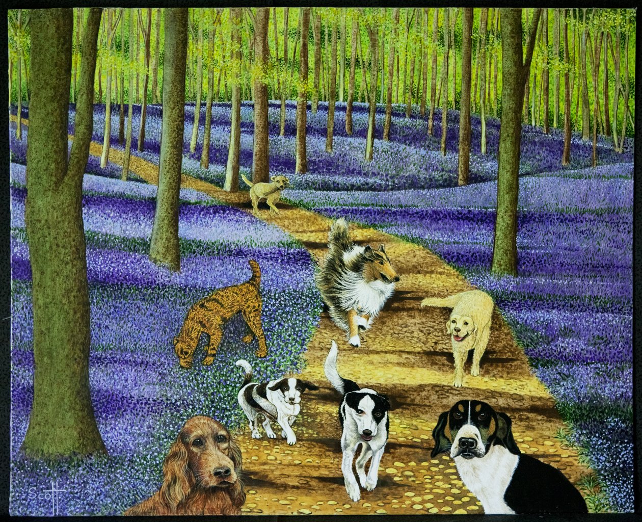 De ochtendwandeling door Pat Scott