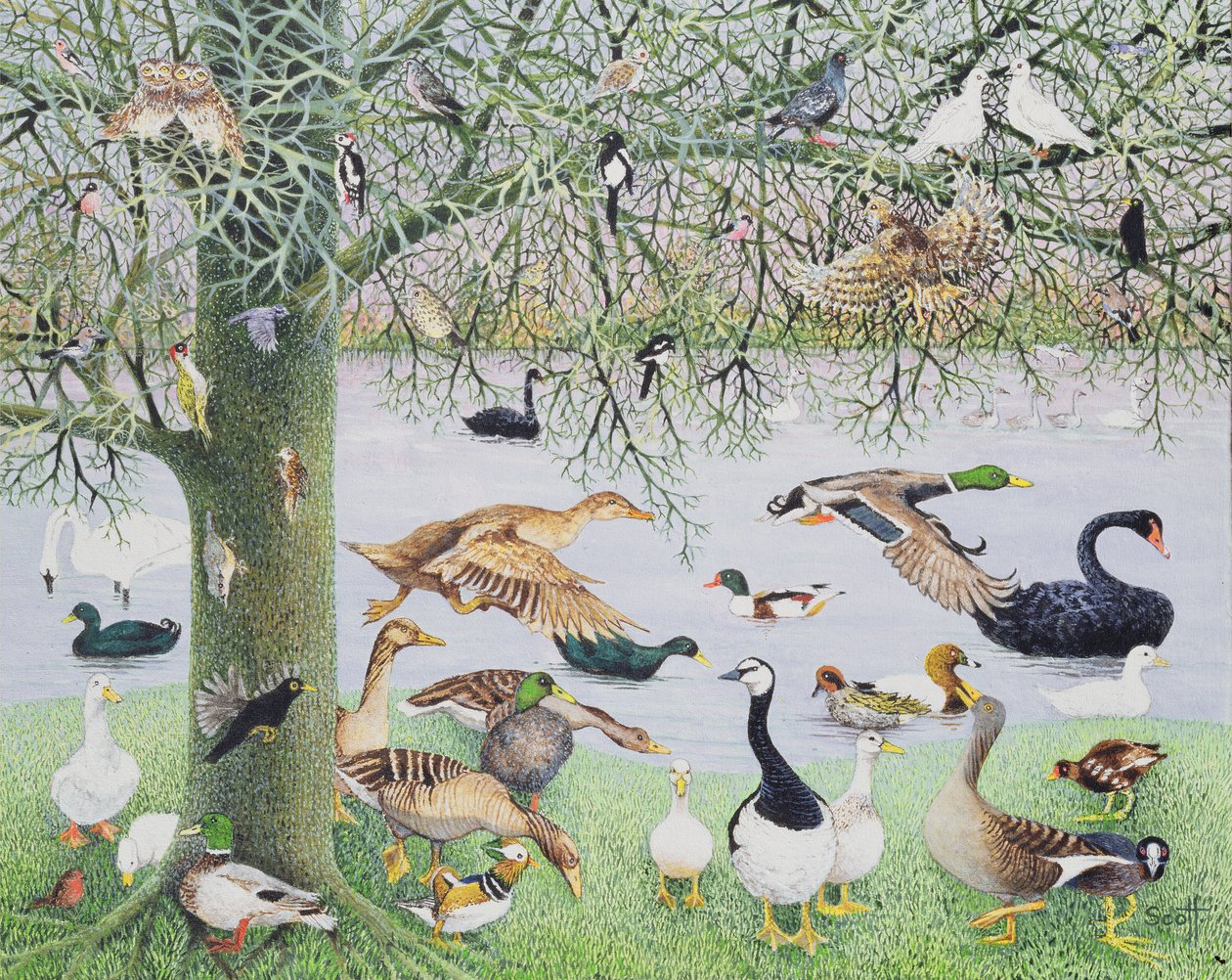 De vreemde eend (acryl op doek) door Pat Scott