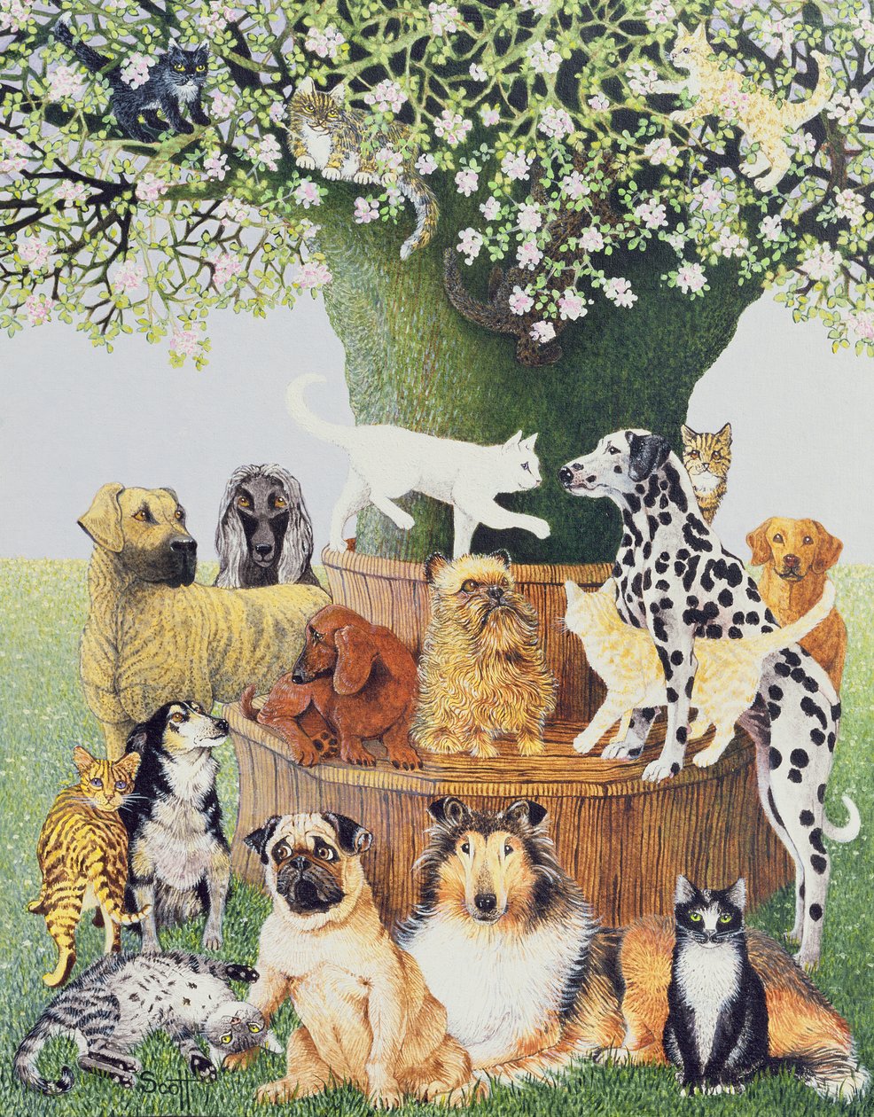 De probeerboom door Pat Scott