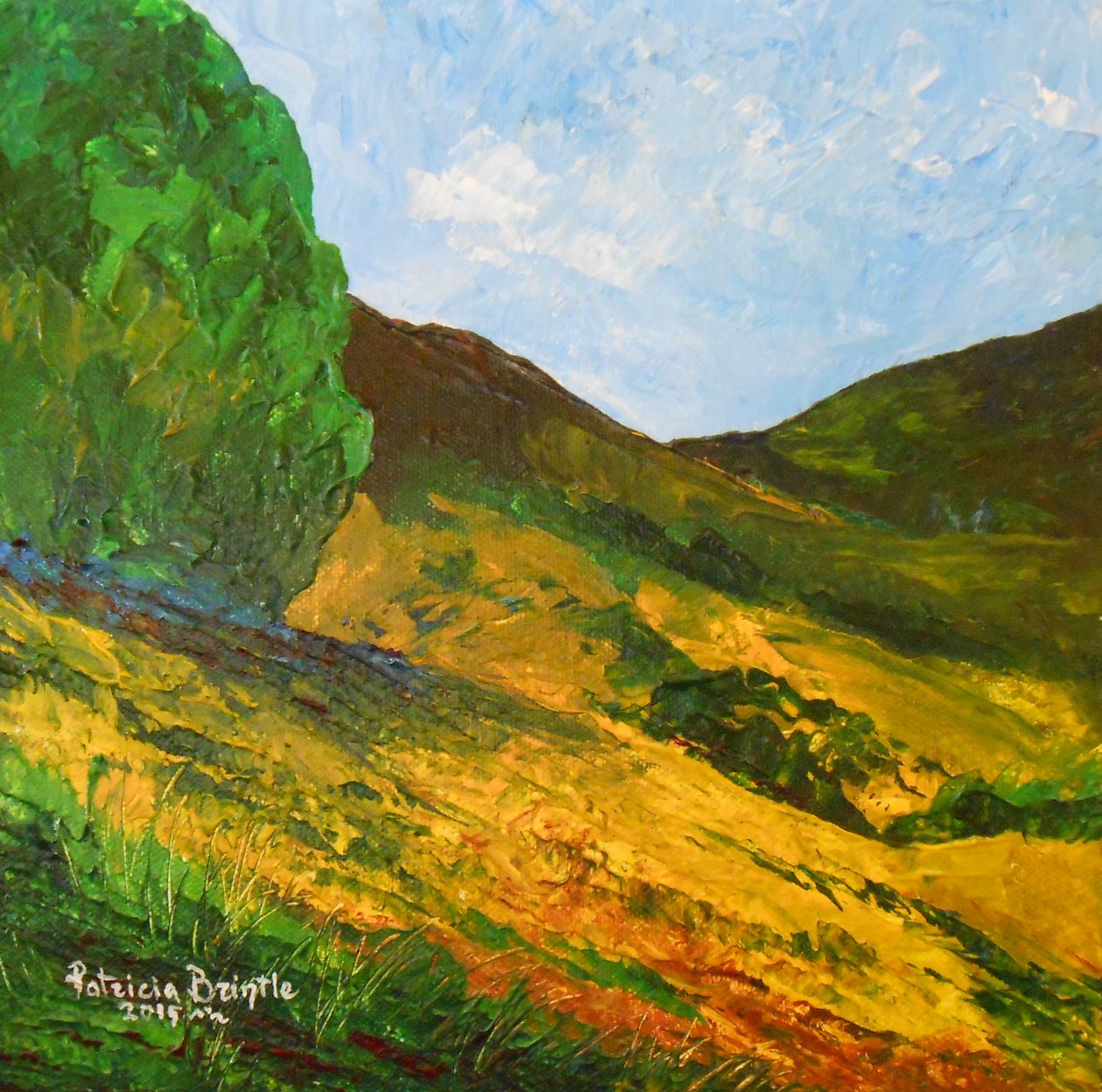 Morne La Selle, 2015 door Patricia Brintle