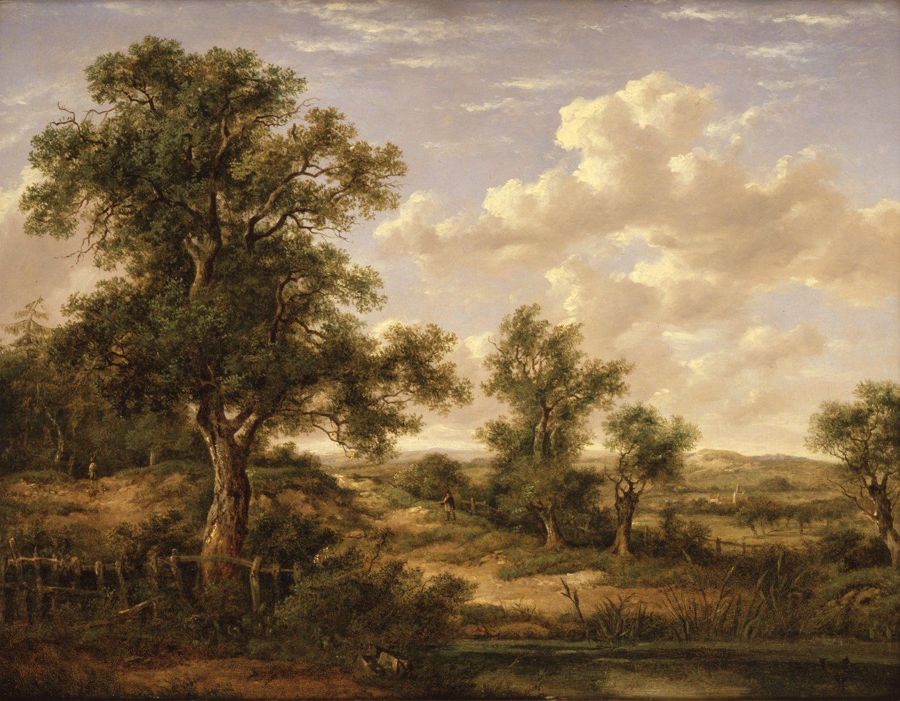  door Patrick Nasmyth