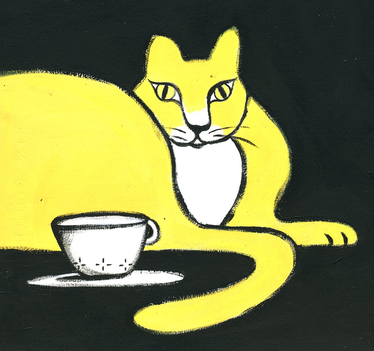 Kat door Patrizia La Porta