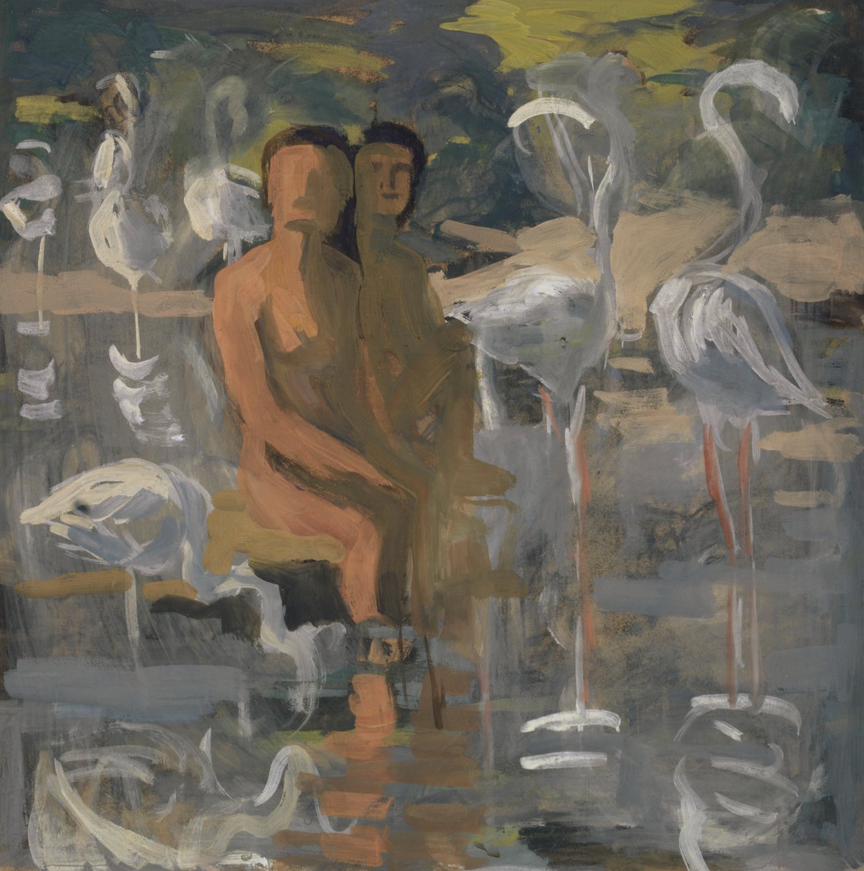 Flamingo