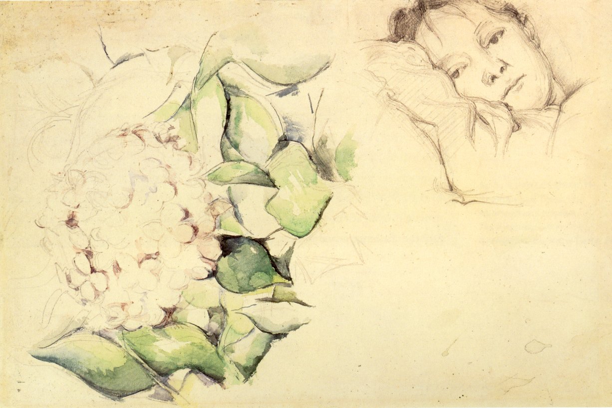 Madame Cézanne met hortensia