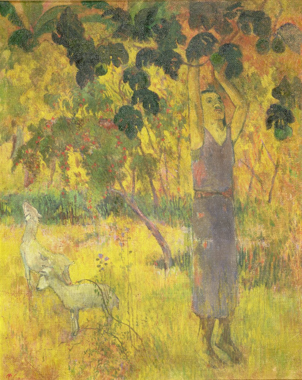 Man die Fruit Plukt van een Boom, 1897 door Paul Gauguin