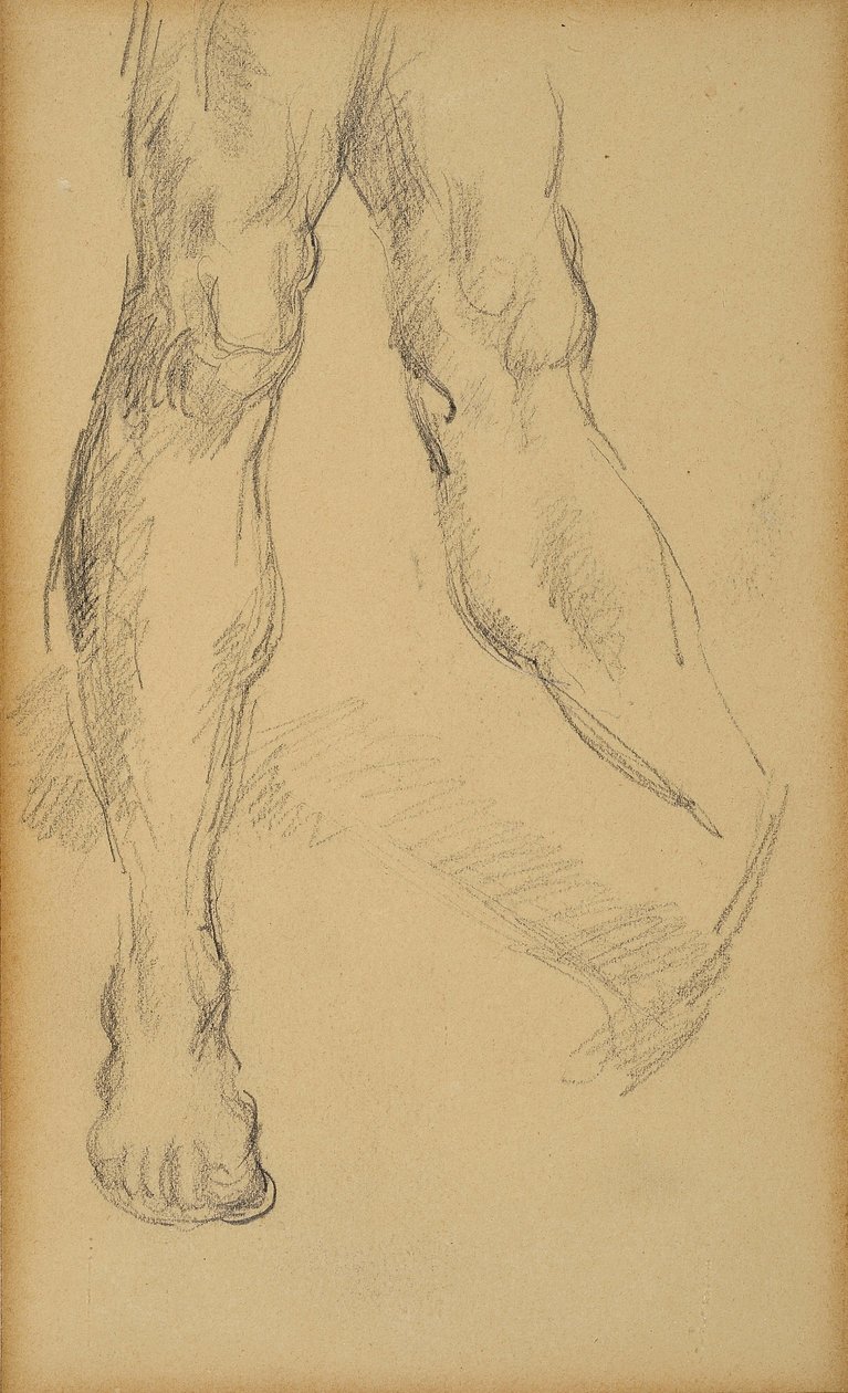 Studie van benen. Tekening door Paul Cezanne (1839-1906). Potlood op papier. Afm: 19,4x11,8cm. Musée Granet, Aix En Provence. door Paul Cézanne