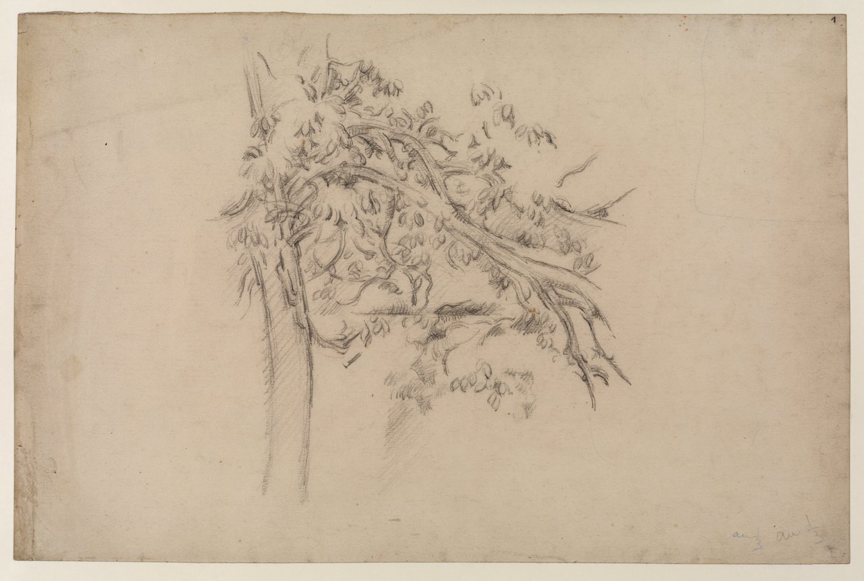 Studie van een boom, ca. 1885-87 (grafiet op papier) door Paul Cézanne