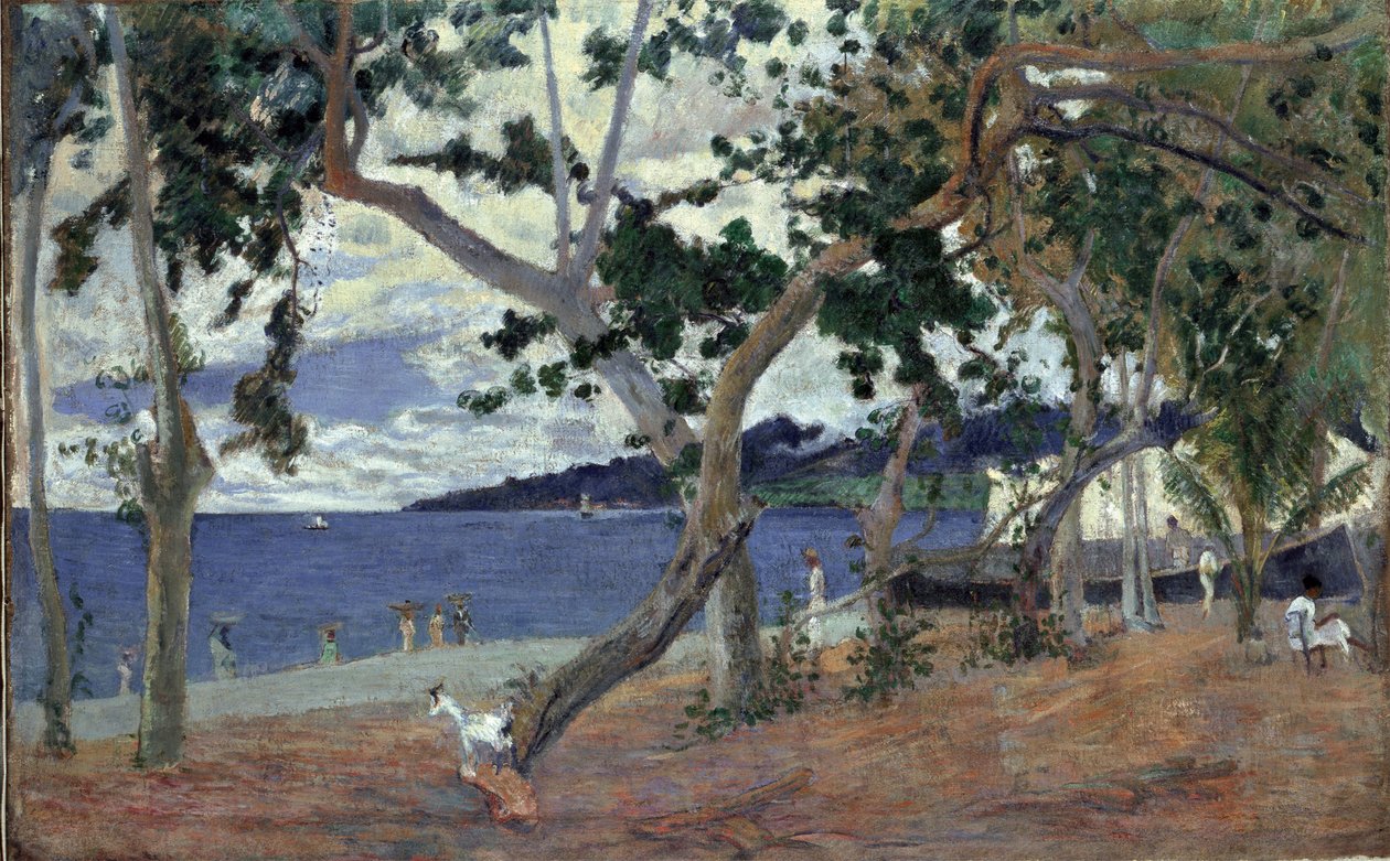 Aan de kust, Martinique door Paul Gauguin
