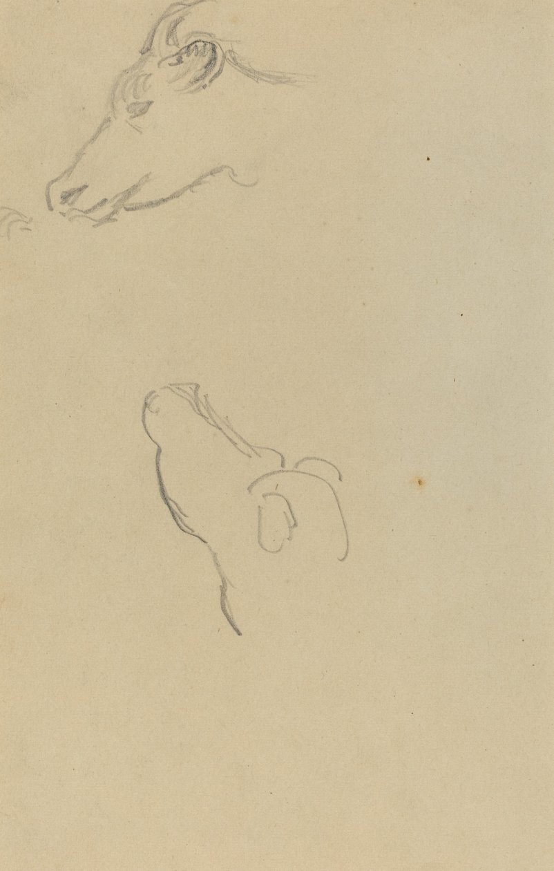Hoofd van een Koe door Paul Gauguin