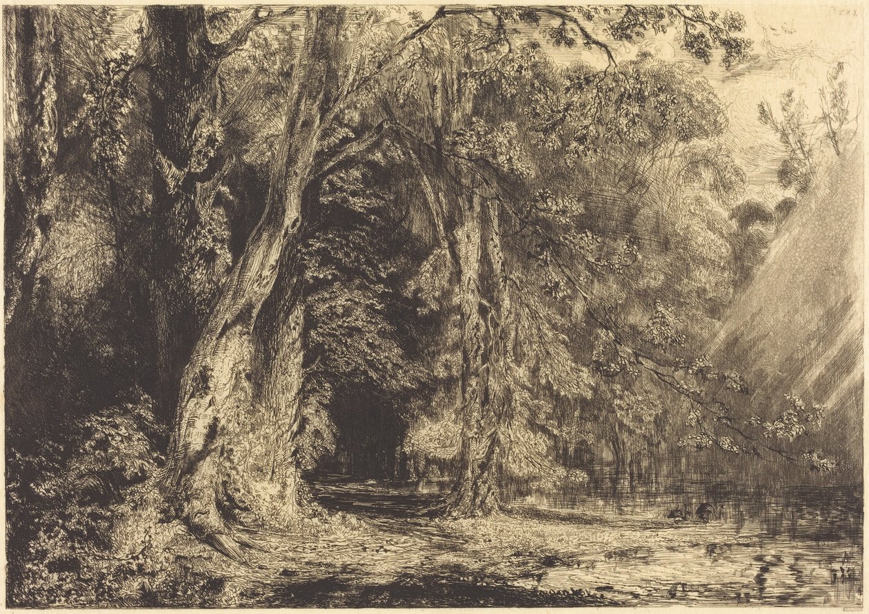 Overstroming in het bos van Île Séguin door Paul Huet