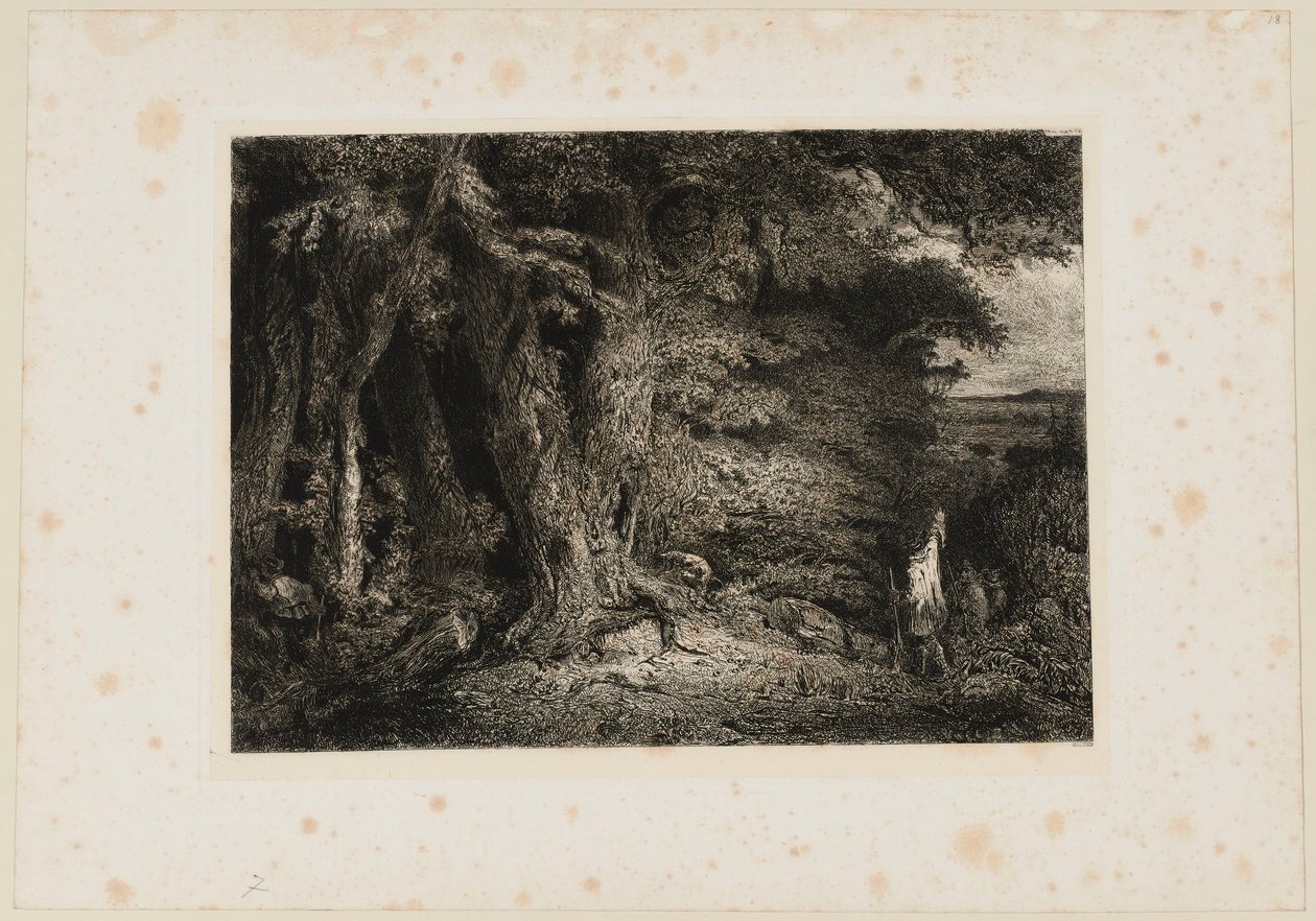 De ingang van het bos. Beraldi 74 door Paul Huet