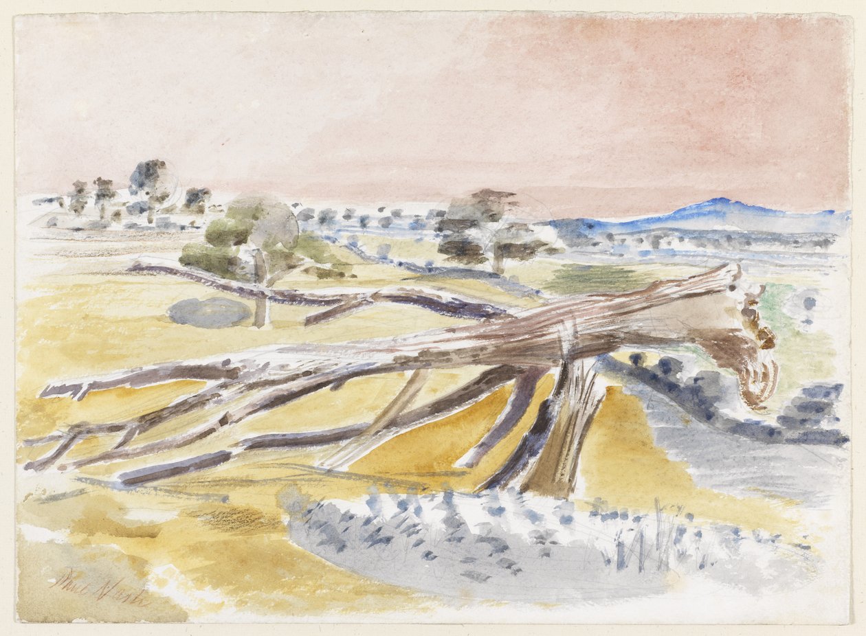 Monster Veld, Studie II door Paul Nash
