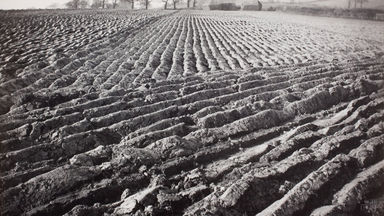 Omgeploegd veld en hooibergen door Paul Nash