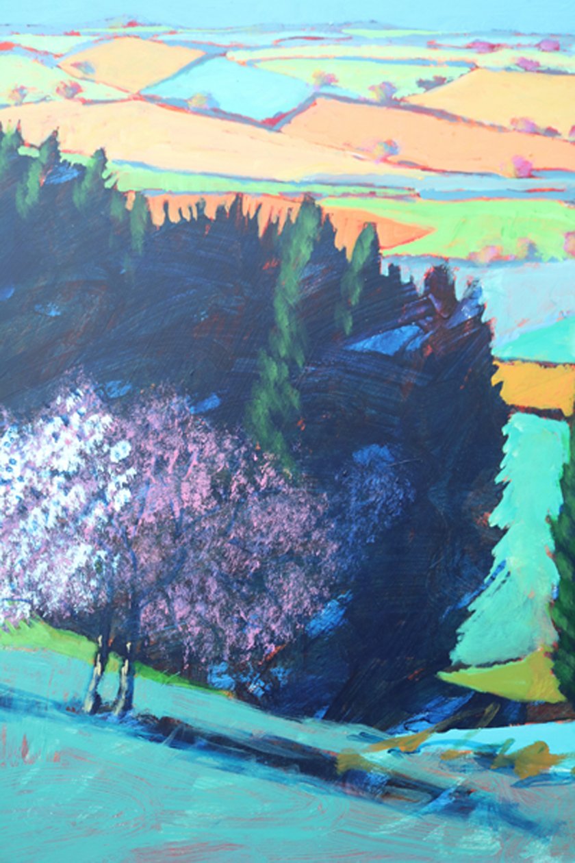 Teme Valley bloesem (detail) door Paul Powis
