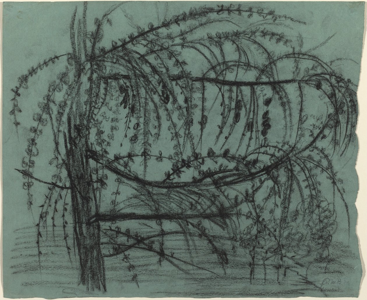 Bloeiende Fruitboom door Paula Modersohn Becker