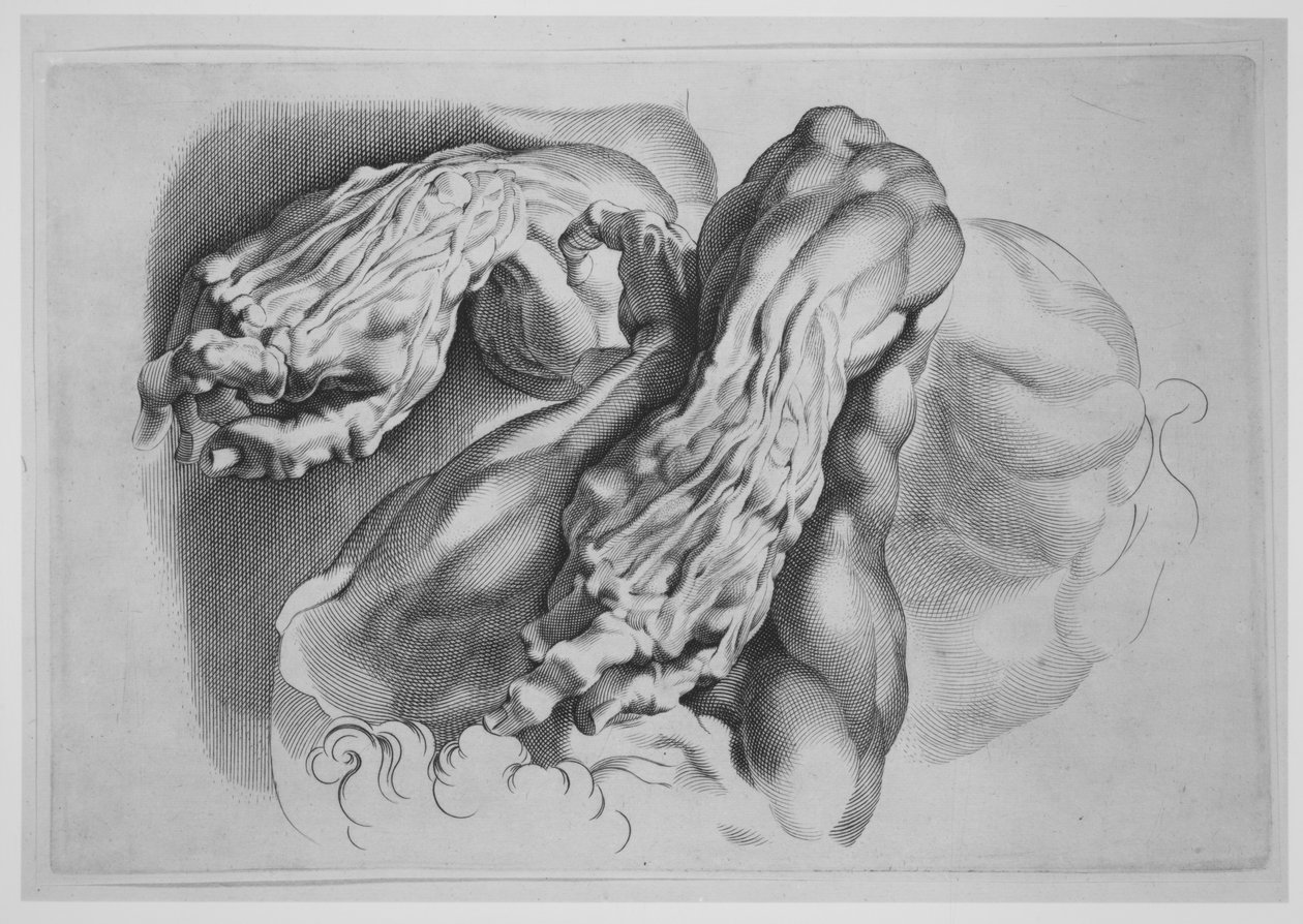 Drie studies van Écorchés, na 1640 door Paulus Pontius