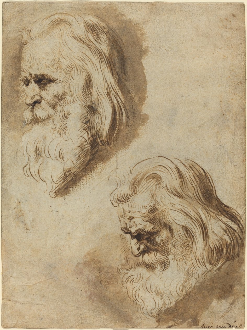 Twee Studies van het Hoofd van een Oudere Man door Paulus Pontius after Sir Peter Paul Rubens