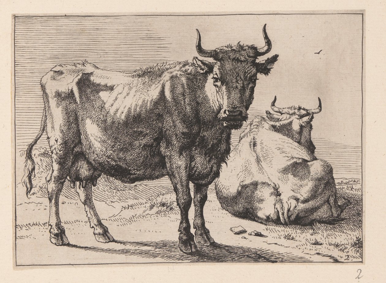 Een staande koe en een liggende koe, van verschillende ossen en koeien door Paulus Potter