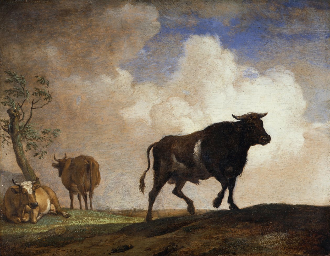 De stier door Paulus Potter