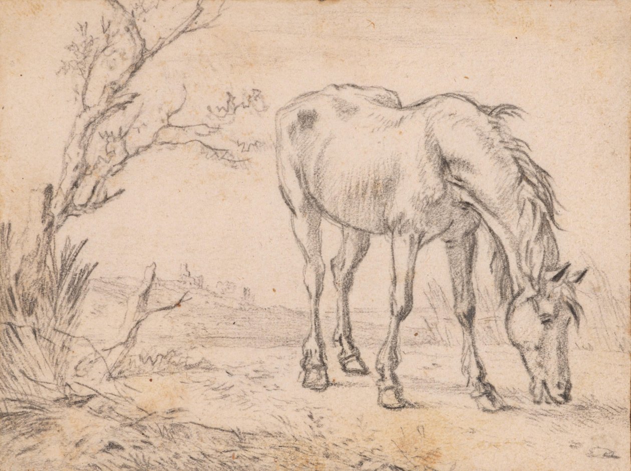Een grazend paard door Paulus Potter