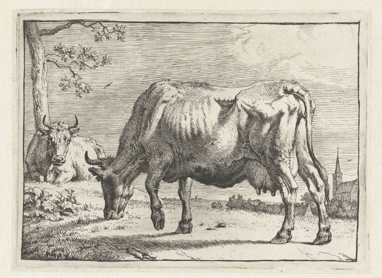Grazende koe Het Bullenboekje (serie titel) door Paulus Potter