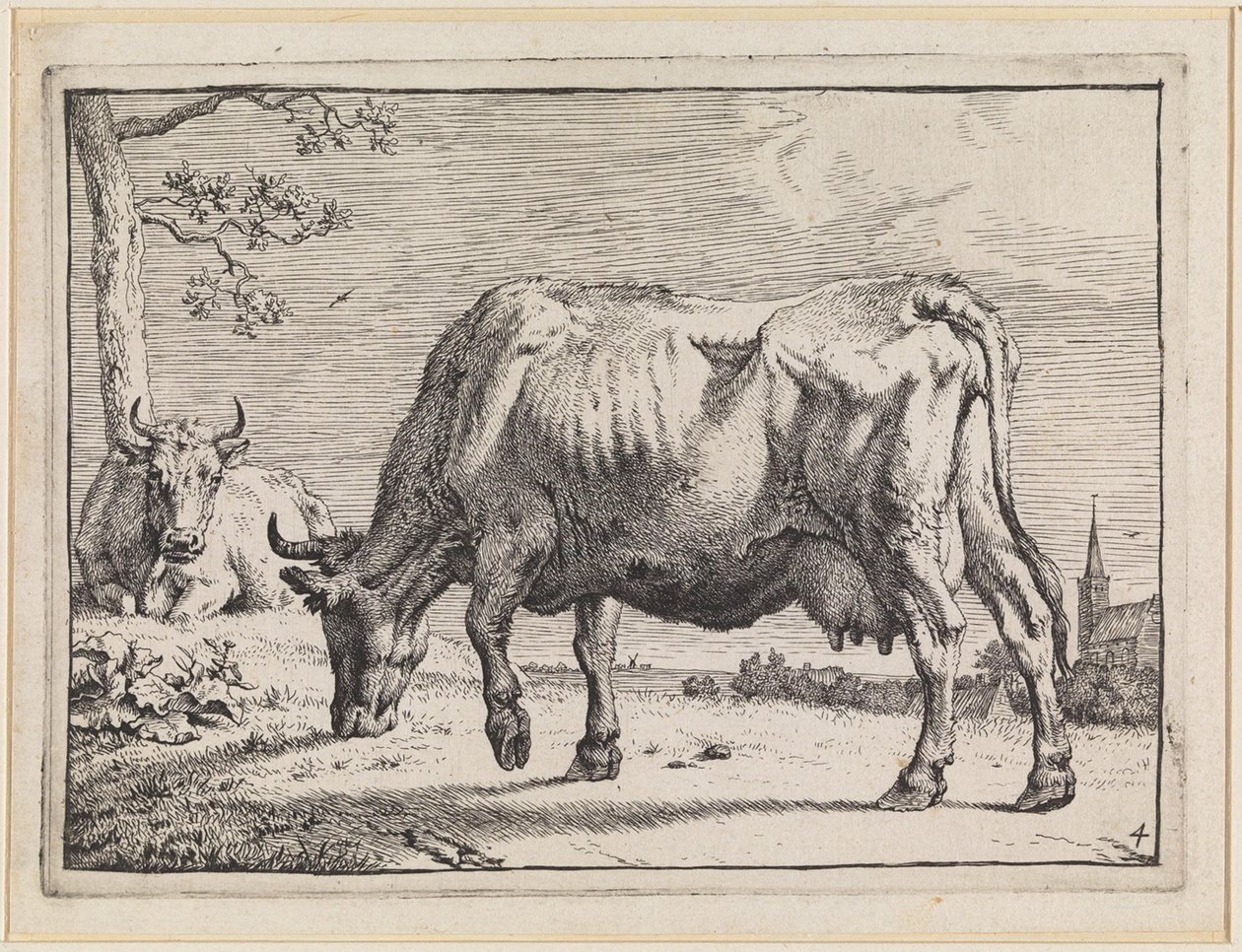 Grazende koe door Paulus Potter