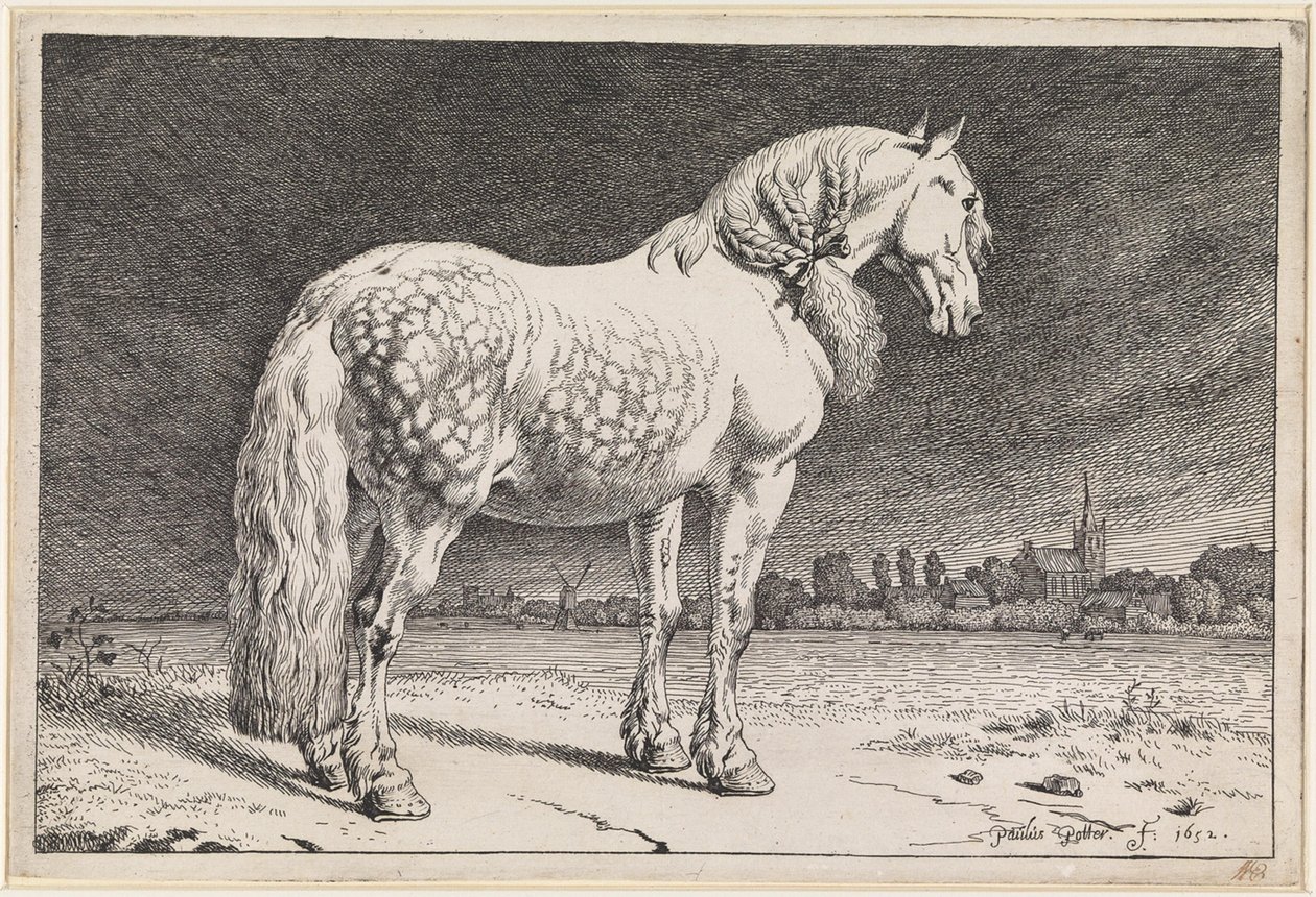 Het Friese paard door Paulus Potter