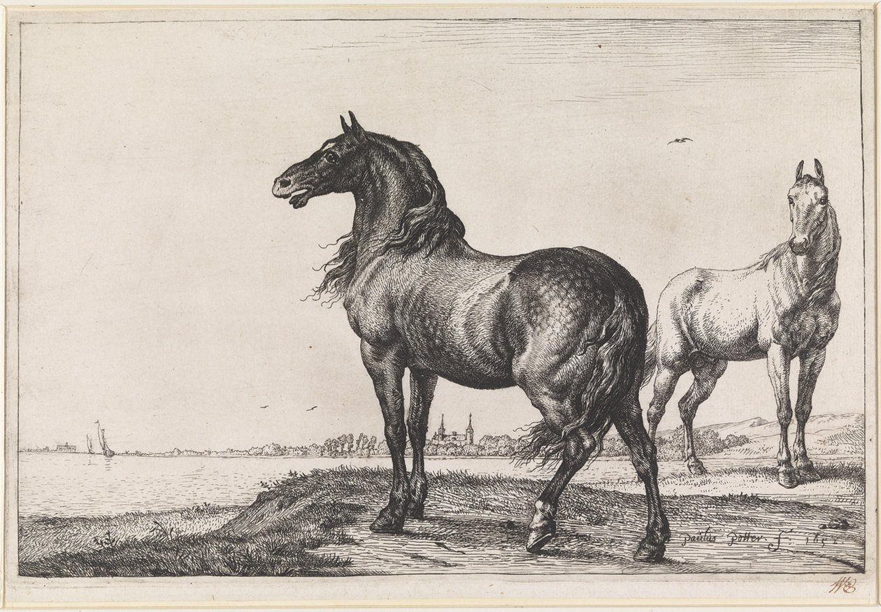Hinnikend paard door Paulus Potter