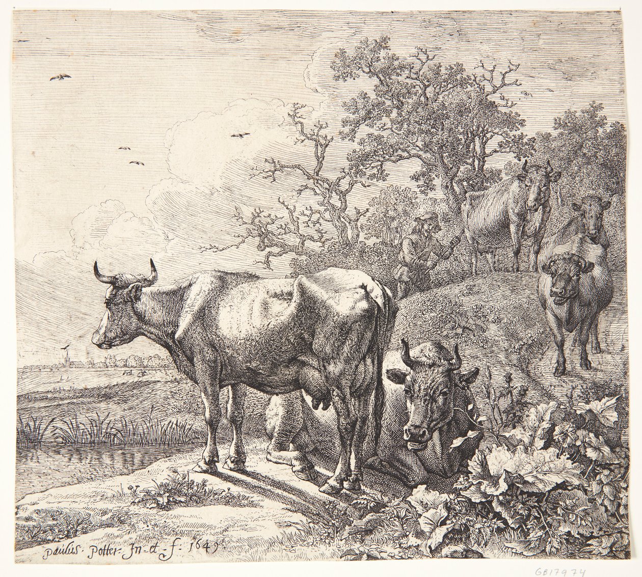 De koeherder door Paulus Potter