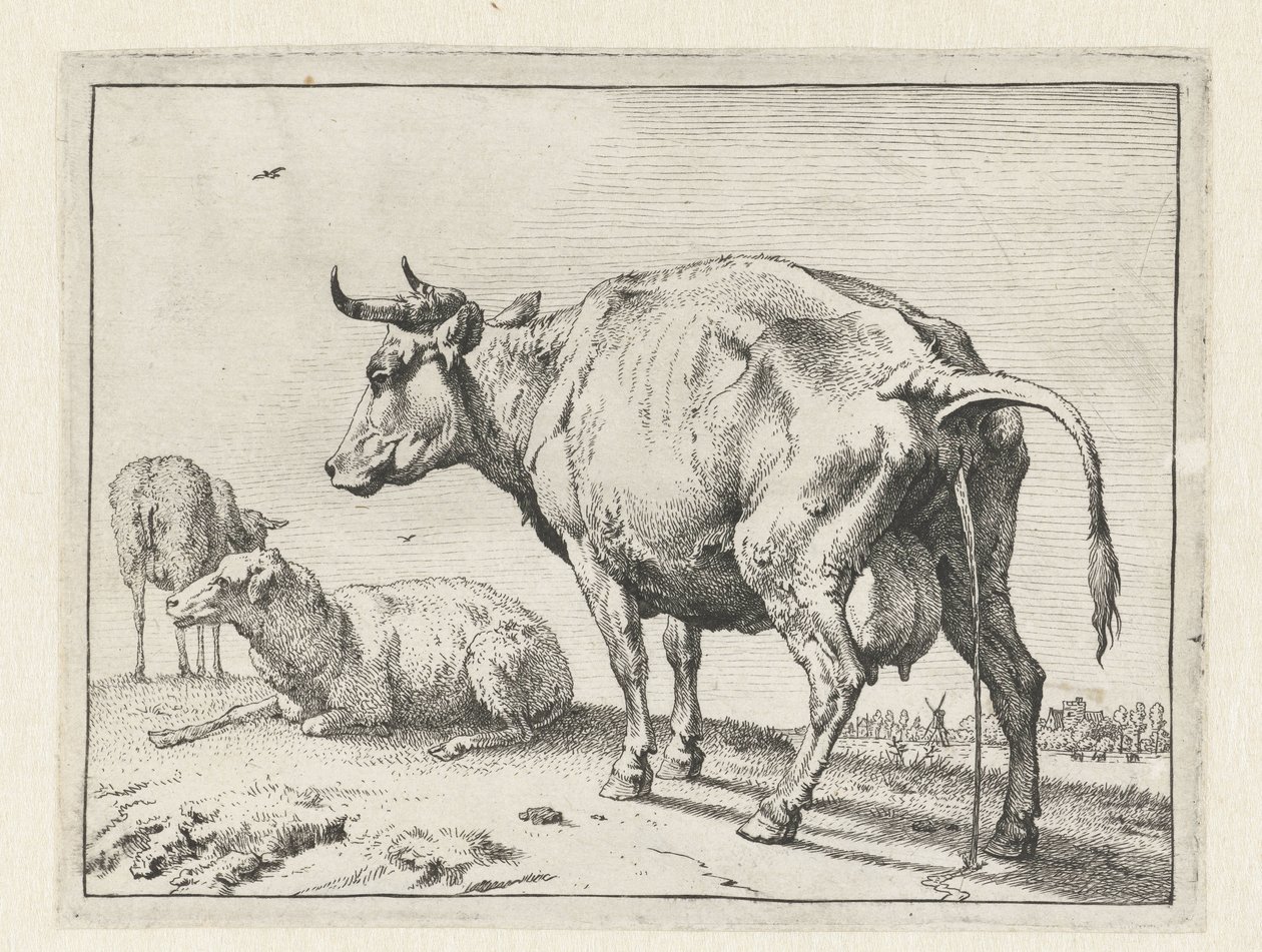 Pissende koe door Paulus Potter