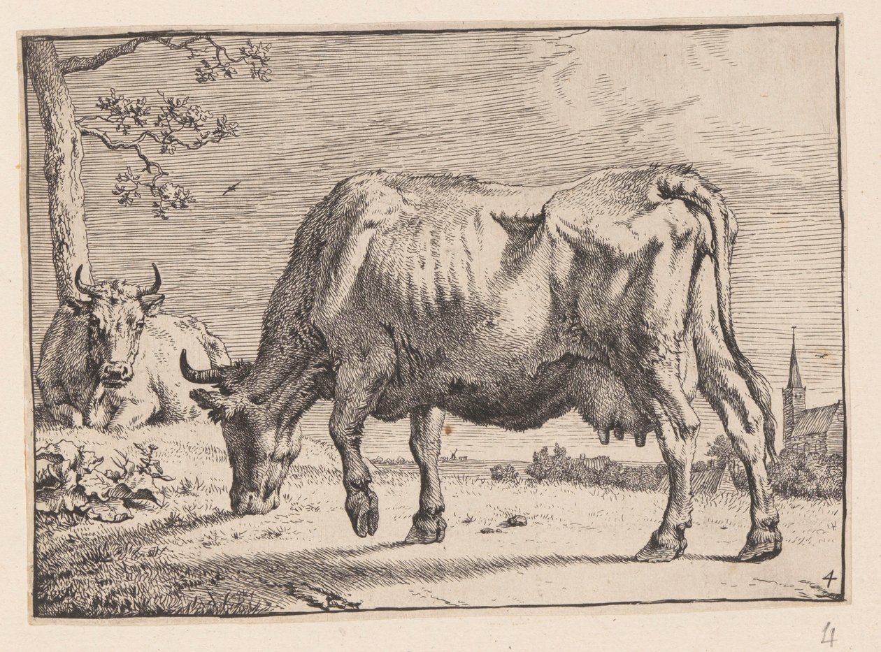 De grazende koe, van diverse ossen en koeien door Paulus Potter