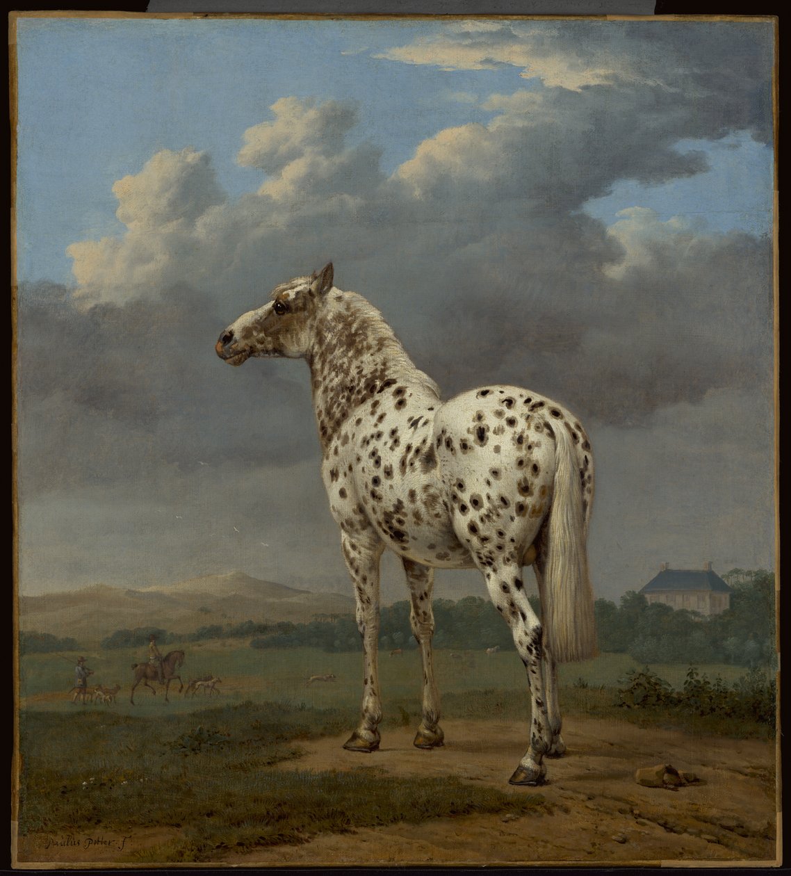 Het bontgekleurde paard, ca. 1650-1654 (Olieverf op doek) door Paulus Potter